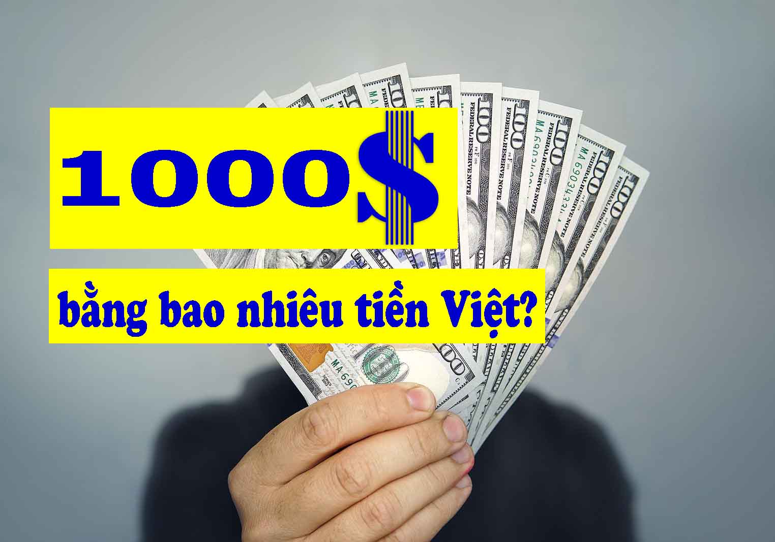 Đổi 1000 đô la mỹ sang tiền việt theo tỷ giá mới nhất