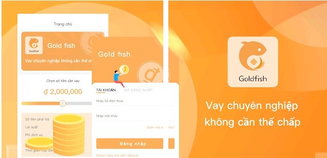 Giao diện GoldFish dễ nhìn, dễ sử dụng 