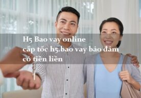 H5 Baovay luôn đảm bảo mang đến cho bạn giải pháp tài chính an toàn, nhanh chóng