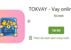 Tok Vay