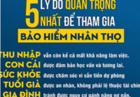 Bảo hiểm nhân thọ rút tiền sau 15 năm