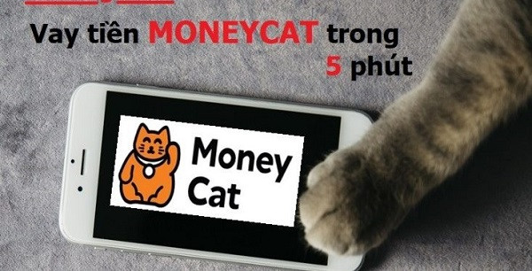 Vay tiền Money Cat trong 5 phút