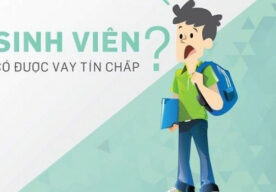 Sinh viên đang học bài